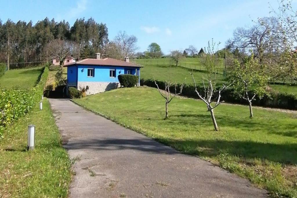 La Casa Azul De Lua Un Lugar Magico Villa Juncedo Eksteriør billede