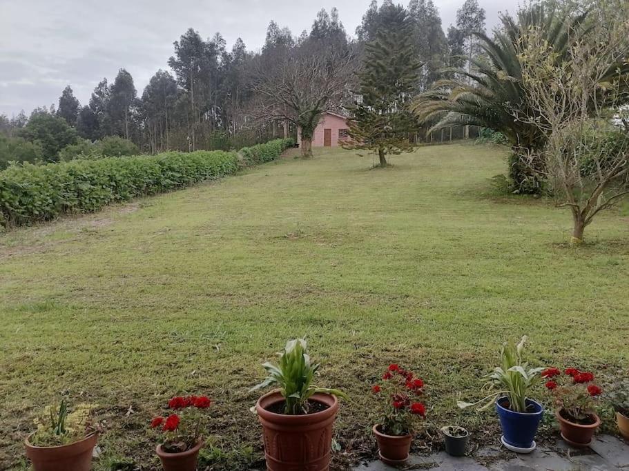 La Casa Azul De Lua Un Lugar Magico Villa Juncedo Eksteriør billede