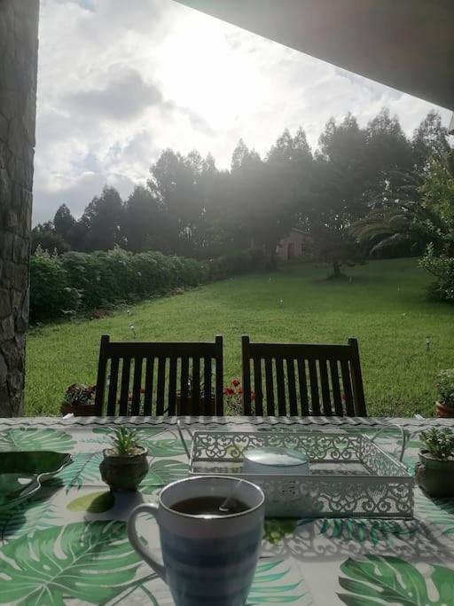 La Casa Azul De Lua Un Lugar Magico Villa Juncedo Eksteriør billede